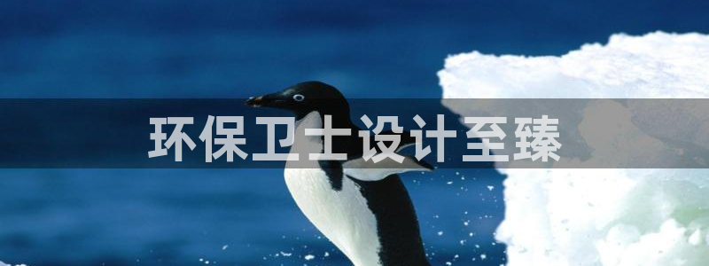 彩名堂用不了：环保卫士设计至臻