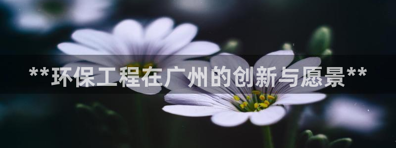 彩名堂免费计划5.0使用方法是什么：
