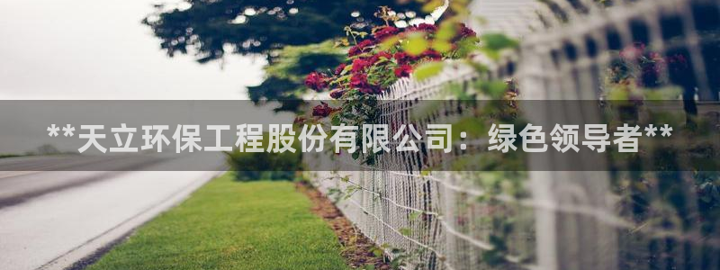 彩名堂和01计划哪个好：**天立环保