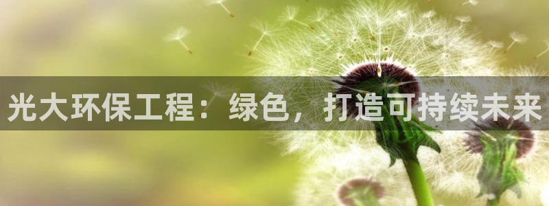 彩名堂改成什么名字了：光大环保工程：