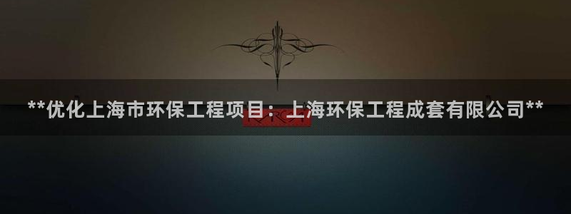 彩名堂合作655560：**优化上海