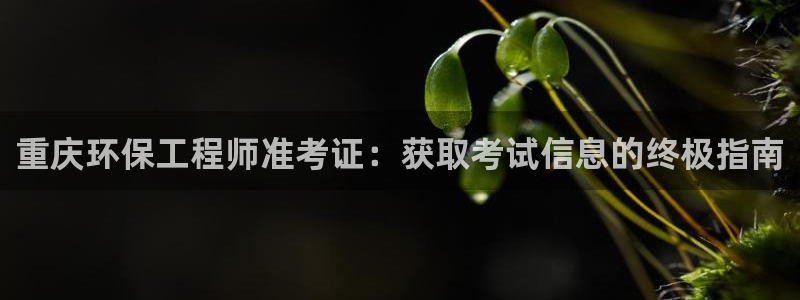 彩名堂官网2：重庆环保工程师准考证：