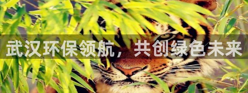 彩名堂一直不出结果怎么回事呀：武汉环
