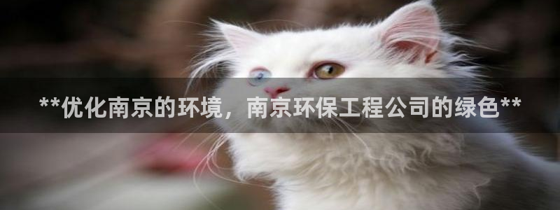 彩名堂app官方下载：**优化南京的