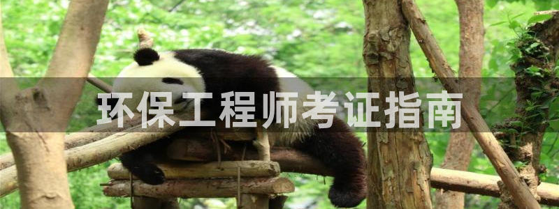 彩名堂在线下载：环保工程师考证指南
