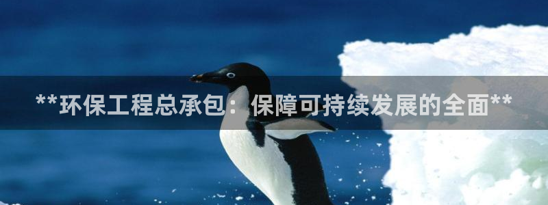 彩名堂为啥又不能用了：**环保工程总