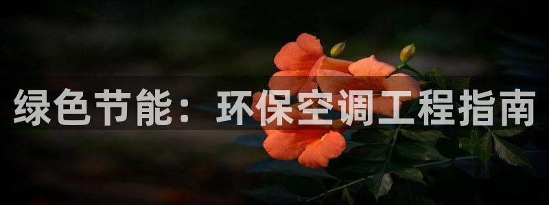 彩名堂4.3：绿色节能：环保空调工程
