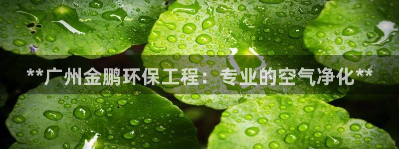彩名堂还可以用吗：**广州金鹏环保工