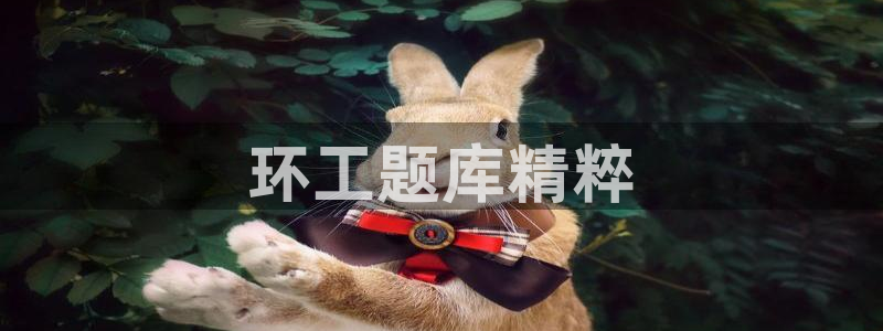 彩名堂最新版www：环工题库精粹