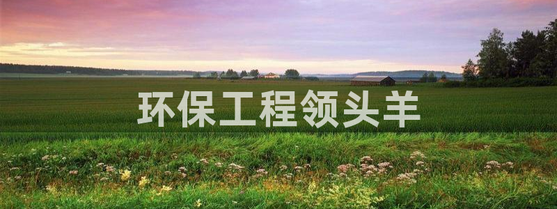 彩名堂免费计划亮点：环保工程领头羊