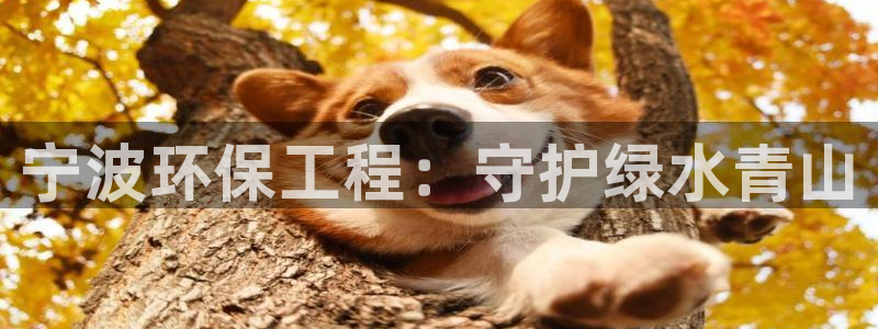 彩名堂手机客户端：宁波环保工程：守护