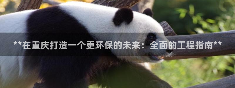 彩名堂全天计划：**在重庆打造一个更