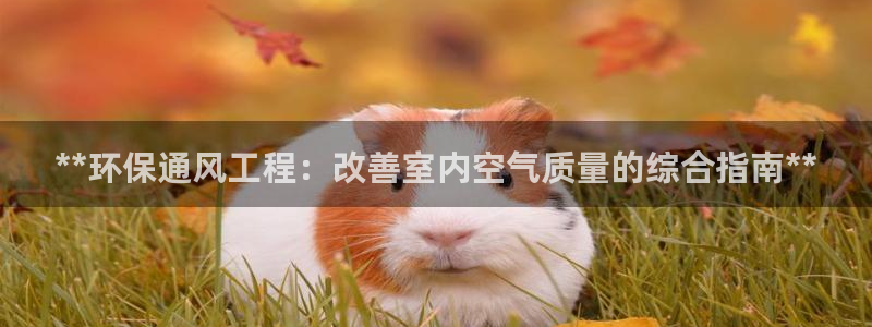 彩名堂计划技巧有哪些：**环保通风工