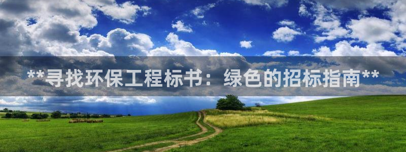 彩名堂4.3：**寻找环保工程标书：