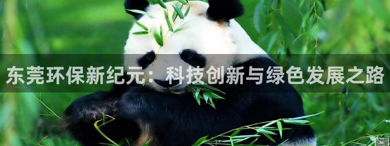 彩名堂不能用了吗：东莞环保新纪元：科技创新与绿色发展之路