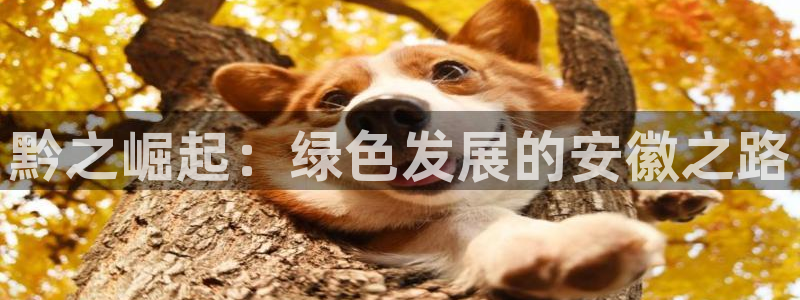 彩名堂免费计划官网5.0.0：黔之崛