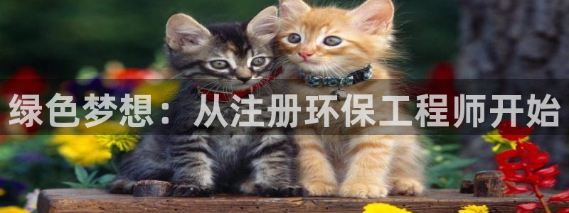 彩名堂计划和01计划怎么很稳：绿色梦