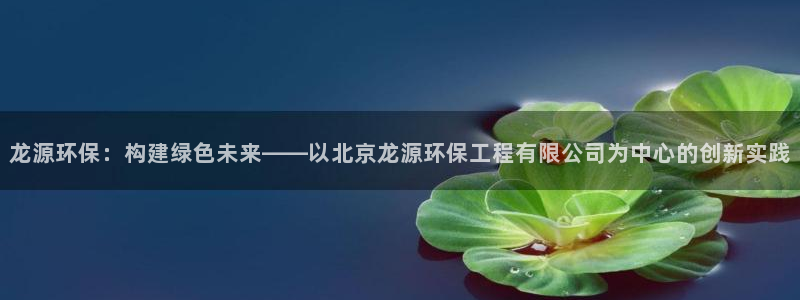 彩名堂二维码：龙源环保：构建绿色未来