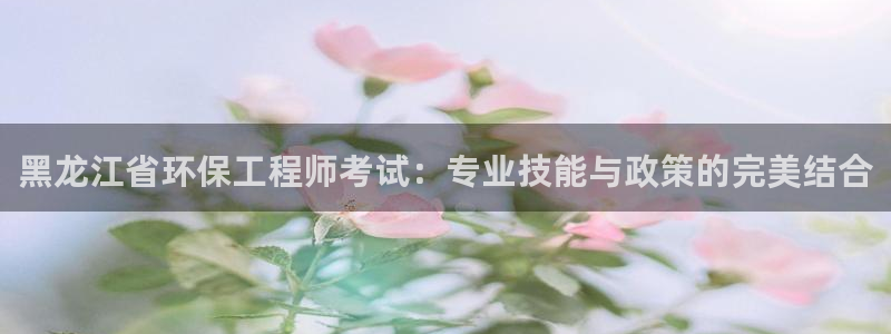 彩名堂在线下载：黑龙江省环保工程师考
