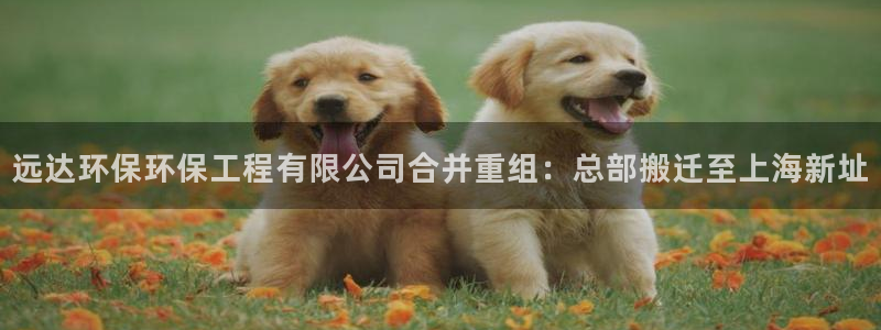 彩名堂计划怎么跟,为什么我一跟就挂：