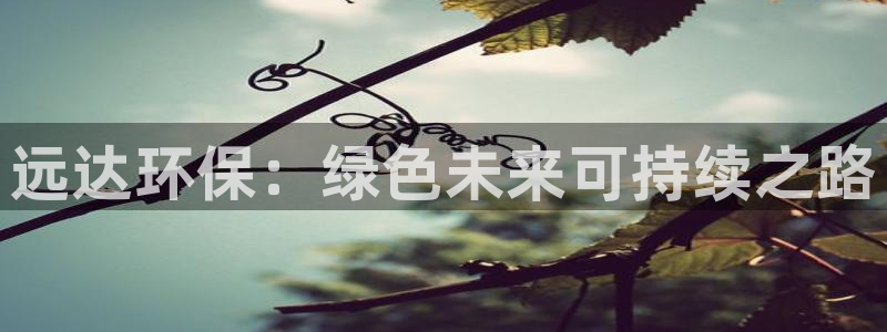 彩名堂客户端加拿大：远达环保：绿色未