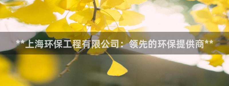 彩名堂官网计划：**上海环保工程有限