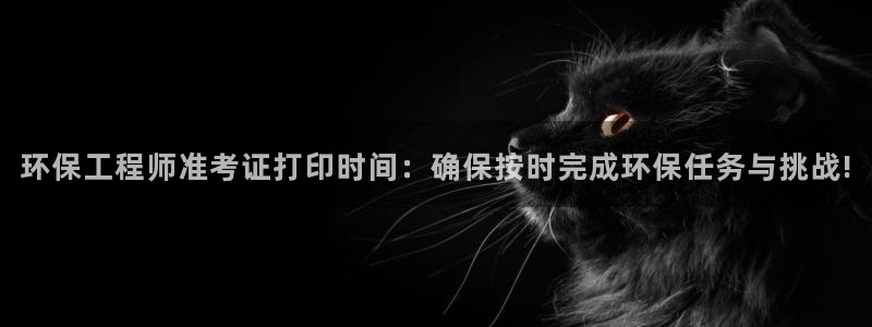 彩名堂安卓客户端官网：环保工程师准考证打印时间：确保按时完成