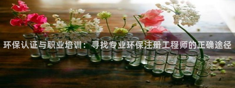 彩名堂计划怎么出的：环保认证与职业培训：寻找专业环保注册工程