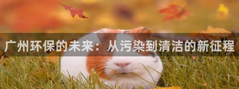 彩名堂预测软件与分析：广州环保的未来：从污染到清洁的新征程