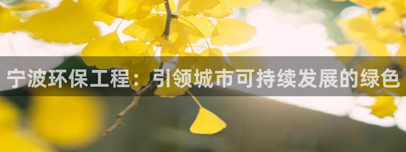 彩名堂一直不出结果怎么回事呢：宁波环保工程：引领城市可持续发