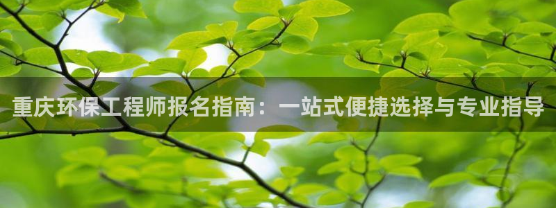 彩名堂改成什么名字了：重庆环保工程师报名指南：一站式便捷选择