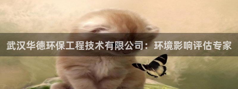 彩名堂免费计划客户端官网：武汉华德环