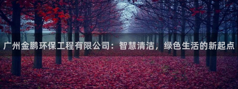 彩名堂怎么用不输：广州金鹏环保工程有