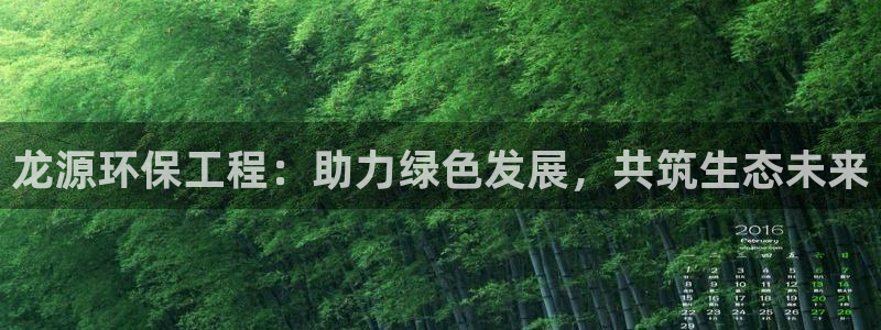彩名堂的拼音：龙源环保工程：助力绿色