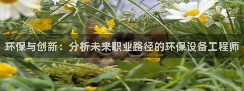 老版彩名堂：环保与创新：分析未来职业