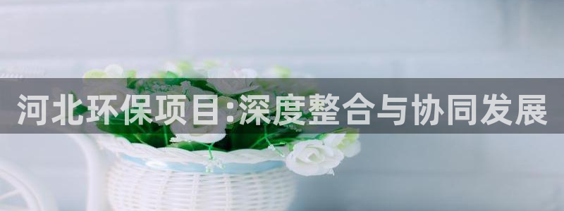 彩名堂5.0版计划怎么用不了：河北环