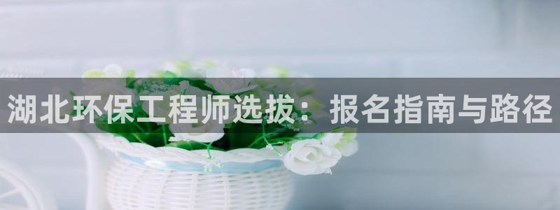 彩名堂预测计划：湖北环保工程师选拔：报名指南与路径