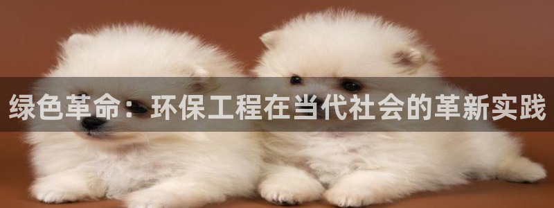 彩名堂客户：绿色革命：环保工程在当代