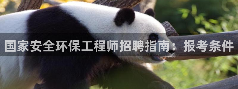彩名堂.netnet：国家安全环保工程师招聘指南：报考条件