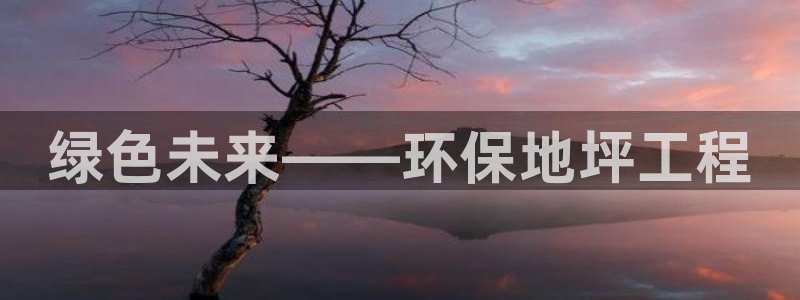 彩名堂怎么选稳定计划产品：绿色未来——环保地坪工程