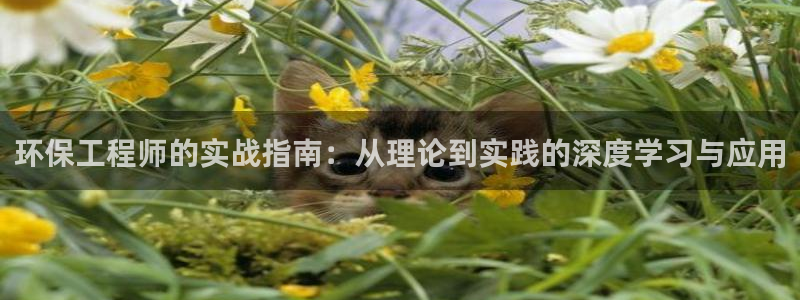 下载彩名堂预测计划软件：环保工程师的