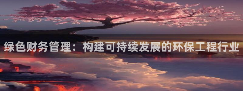 彩名堂计划技巧：绿色财务管理：构建可