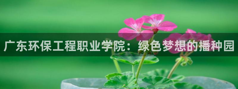 彩名堂怎么跟计划才不连挂在一起：广东