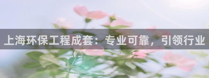 彩名堂在线下载：上海环保工程成套：专业可靠，引领行业