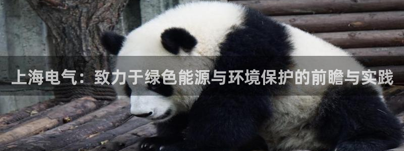 彩名堂跟哪种最好用：上海电气：致力于