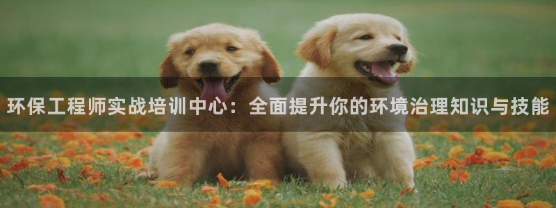 彩名堂和01计划哪个好：环保工程师实