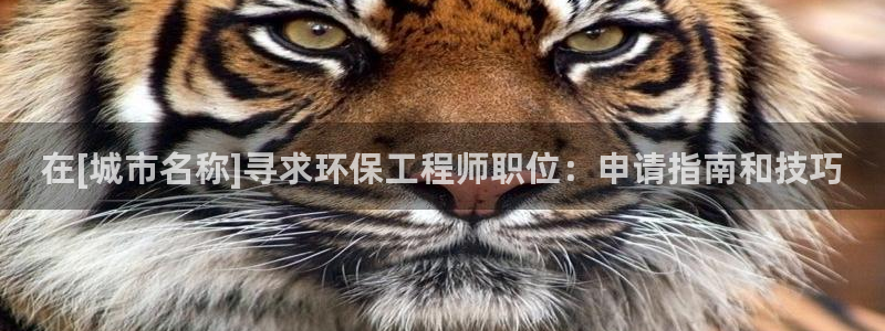 下载彩名堂预测计划软件安卓：在[城市