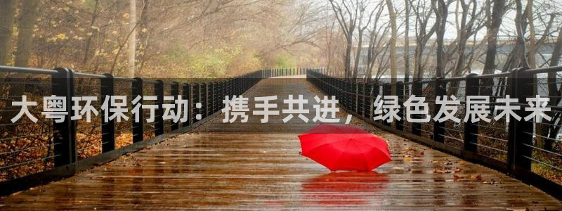 彩名堂免费计划官网怎么进不去了：大粤