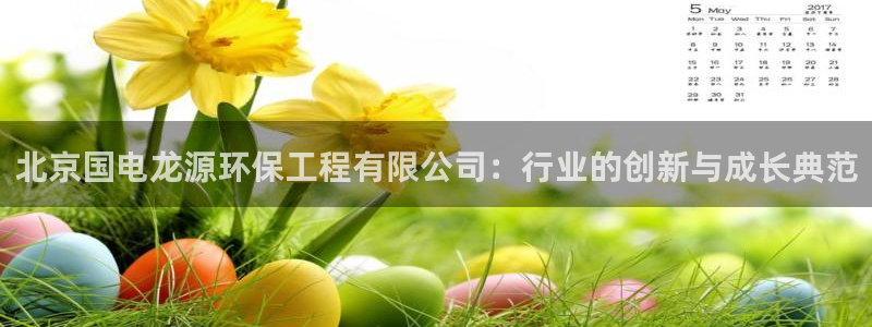 彩名堂最新计划app下载：北京国电龙