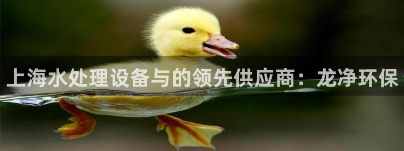 彩名堂安卓客户端官网下载安装：上海水